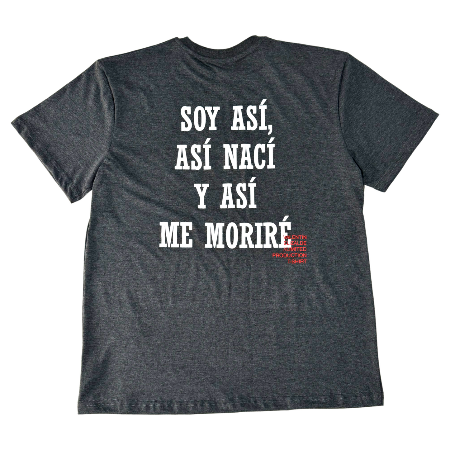 CAMISETA OVERSIZE - VALENTIN