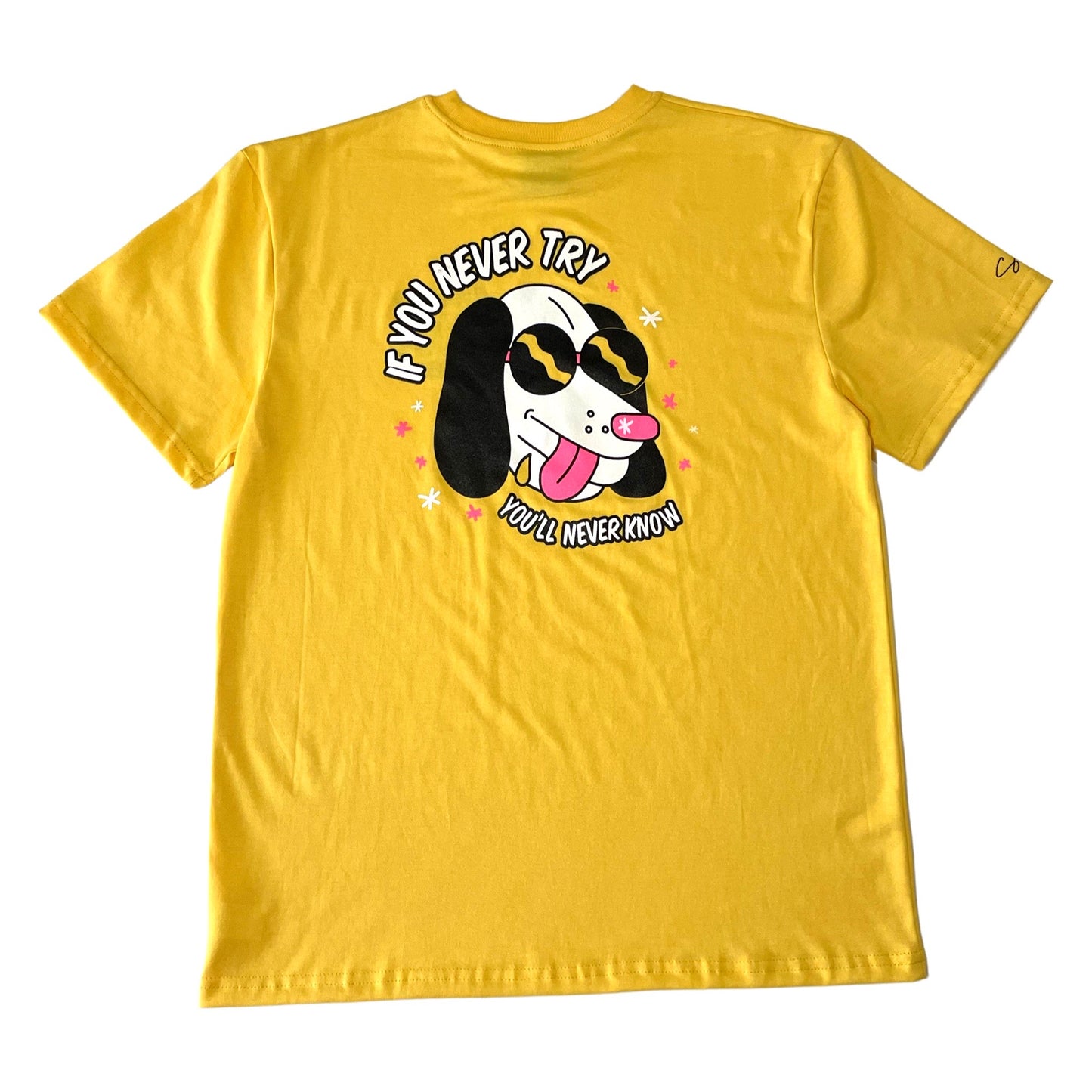 CAMISETA OVERSIZE - DOG